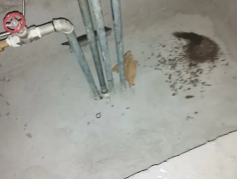 香格里拉卫生间测漏水价格明细