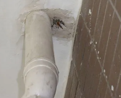 香格里拉漏水检测哪家好